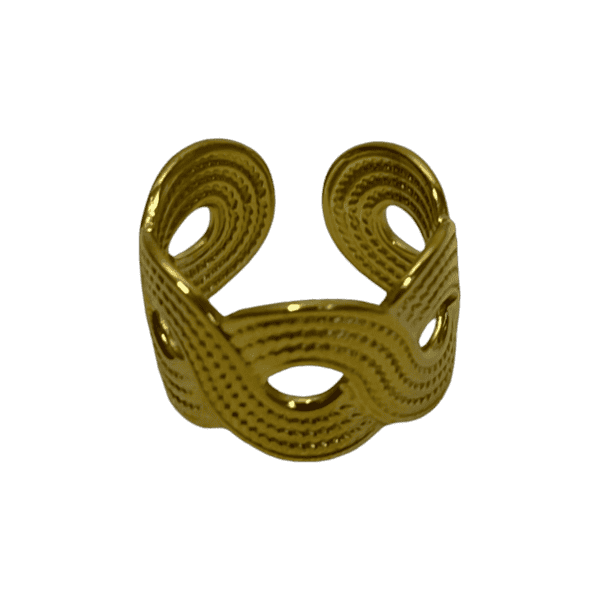 Anillo infinito doble