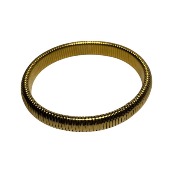 Pulsera resorte